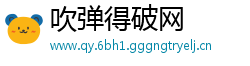 吹弹得破网